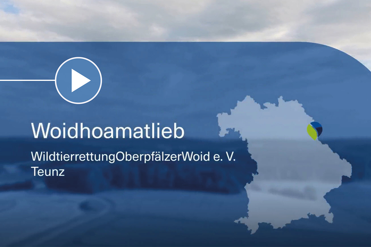 Woidhoamatlieb